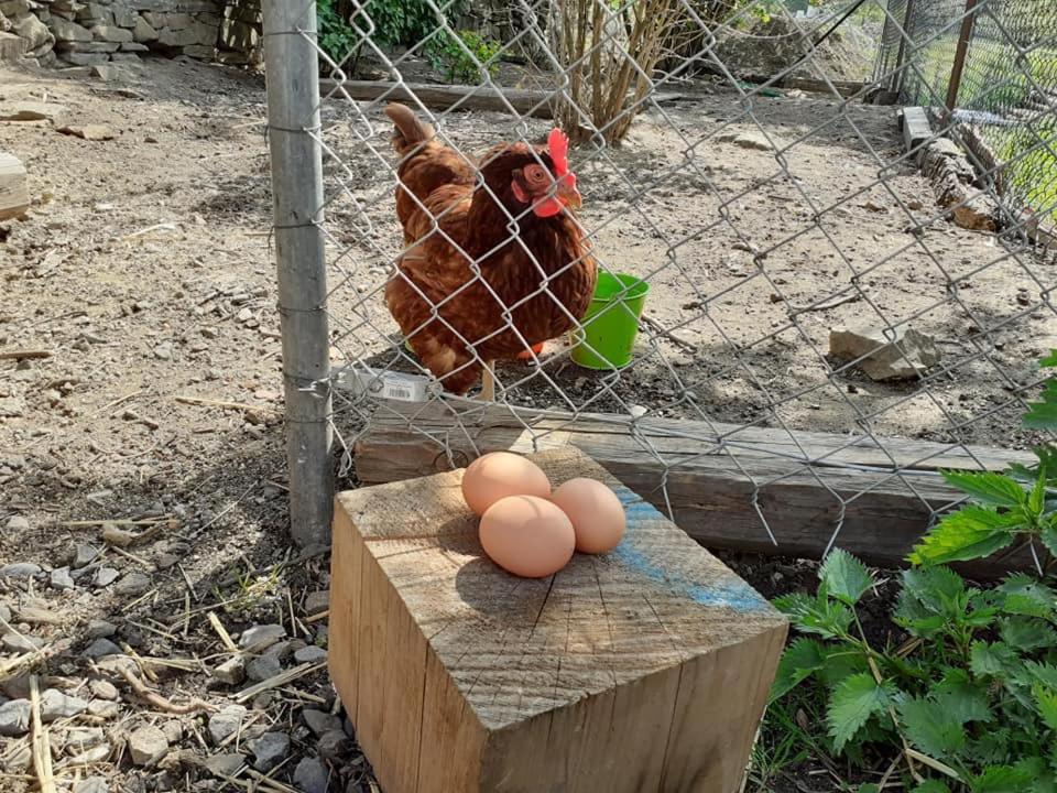 Penzion Mala Farma Nemojany 외부 사진